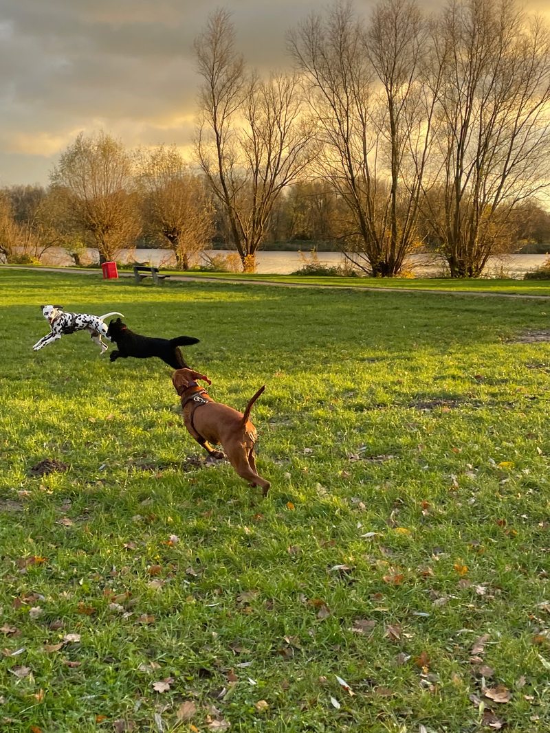 Spaziergang im Abendlicht