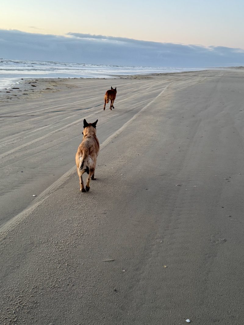 Training am Strand