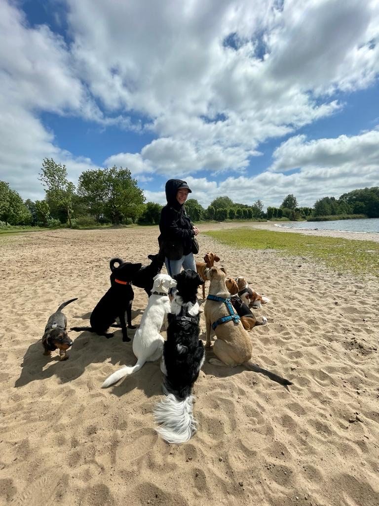 Doreen Donhauser im Training mit mehreren Hunden
